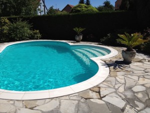 philvertpaysage-renovation piscine waterair Soultz